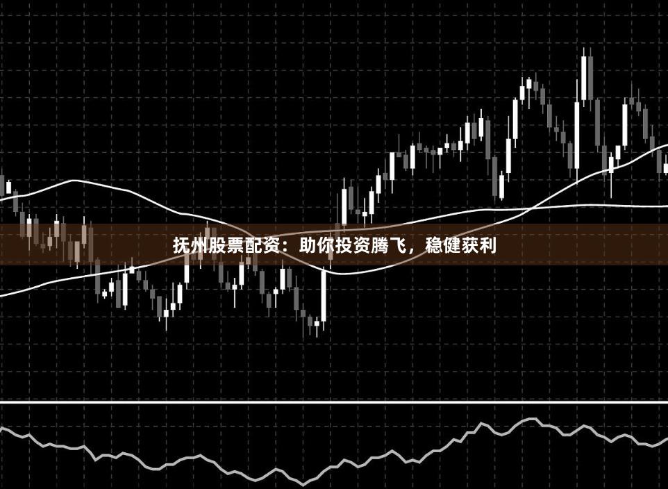 抚州股票配资：助你投资腾飞，稳健获利